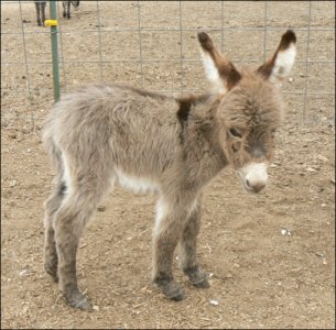 Click here to enlarge this picture.