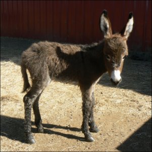 Click photo to enlarge image