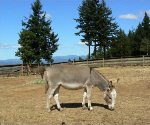 Click here to enlarge this picture.