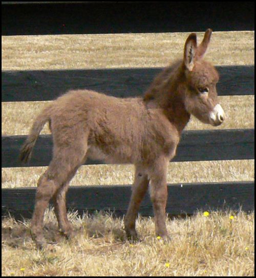 Click here to enlarge this picture.