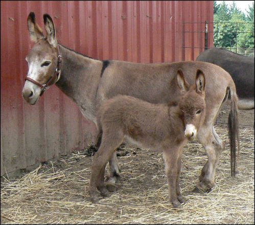 Click here to enlarge this picture.