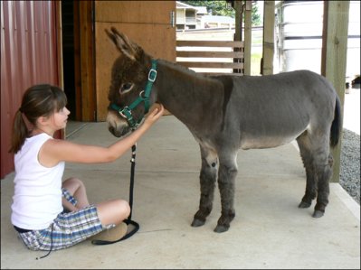 Click photo to enlarge image