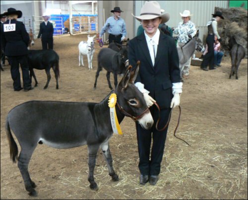 Click photo to enlarge image