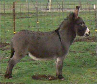 Click here to enlarge this picture.