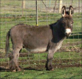 Click here to enlarge this picture.