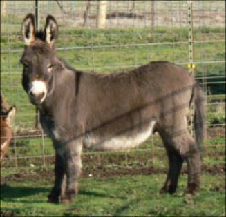 Click here to enlarge this picture.