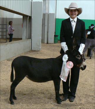 Click here to enlarge this picture.