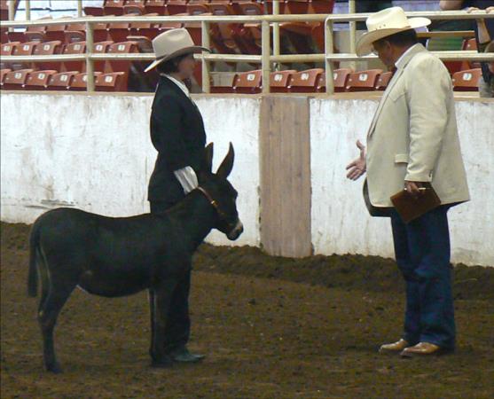 Click here to enlarge this picture.