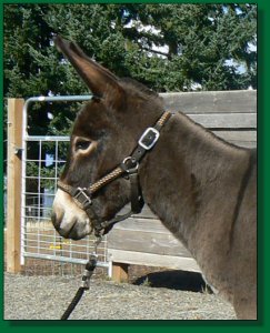 Gabriella Grace, daughter