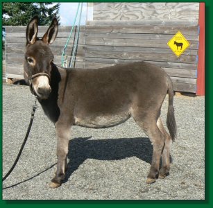 Gabriella Grace, daughter