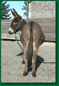 Gabriella Grace, daughter