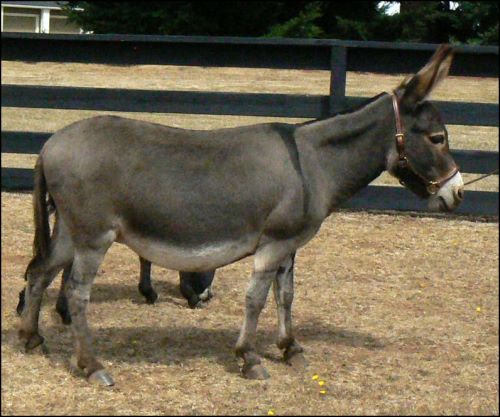 Click here to enlarge this picture.