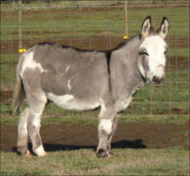 Click here to enlarge this picture.