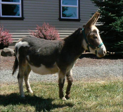 Click here to enlarge this picture.