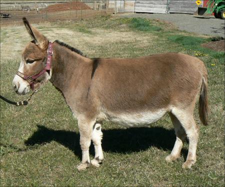 Click here to enlarge this picture.