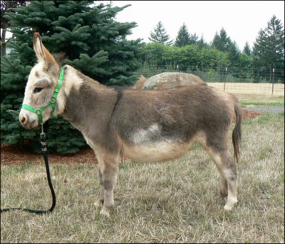 Click photo to enlarge image