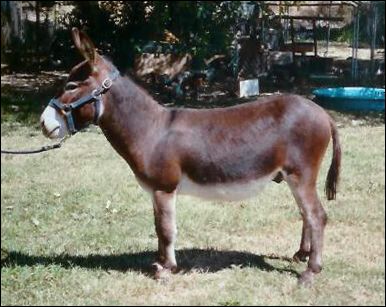 Click photo to enlarge image