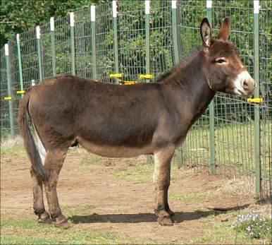 Click photo to enlarge image