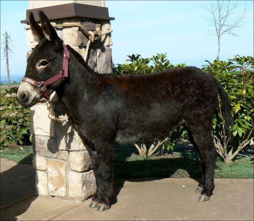 Click photo to enlarge image