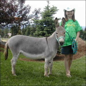 Click on photo to enlarge