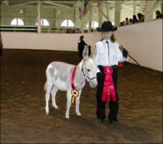 Click here to enlarge this picture.