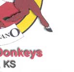 Rancho Galleano Miniature Donkeys