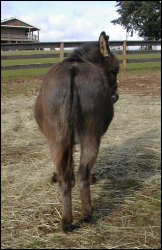 Click here to enlarge this picture.