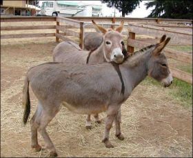 PJ with her best friend, Pinkie