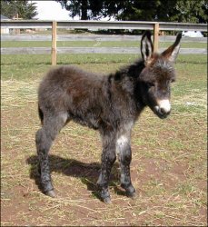 Click here to enlarge this picture.