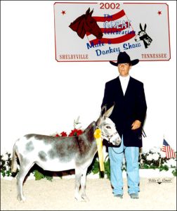 Click photo to enlarge image