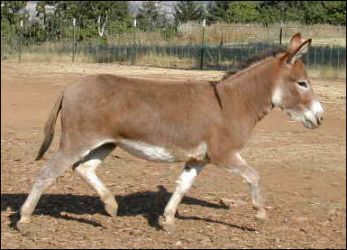 Click photo to enlarge