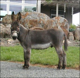 Click here to enlarge this picture.