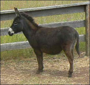 Click here to enlarge this picture.