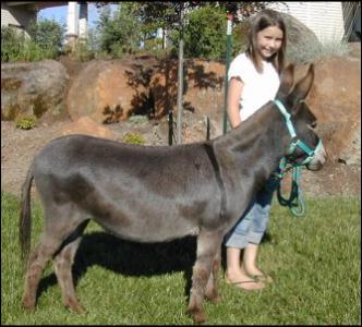 Click here to enlarge this picture.