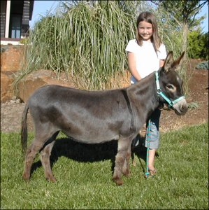 Click here to enlarge this picture.