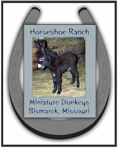 Horseshoe Ranch